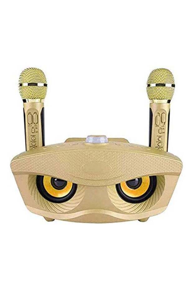 Portable Karaoke Machine Wireless Bluetooth Speaker with 2 Microphones (Gold)
