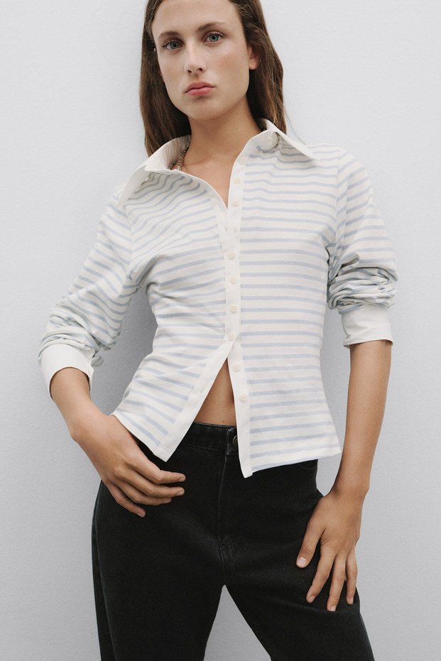 Blue Striped Fit Shirt