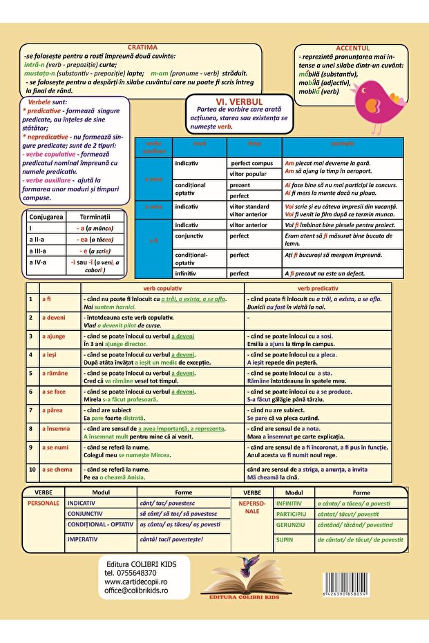 Plansa. Gramatica - Clasa 7 Partea 1 - 4
