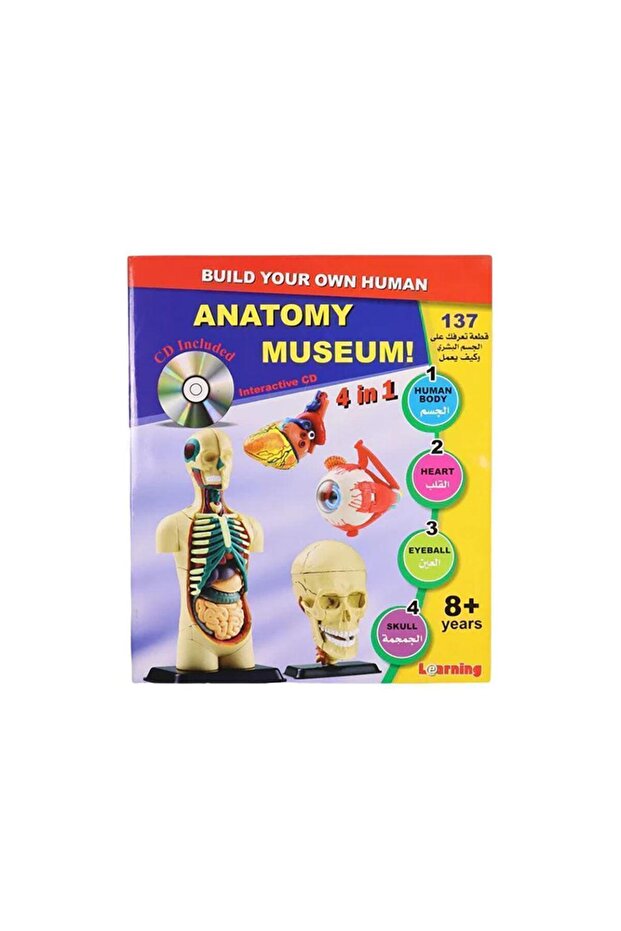 Human Anatomy Museum