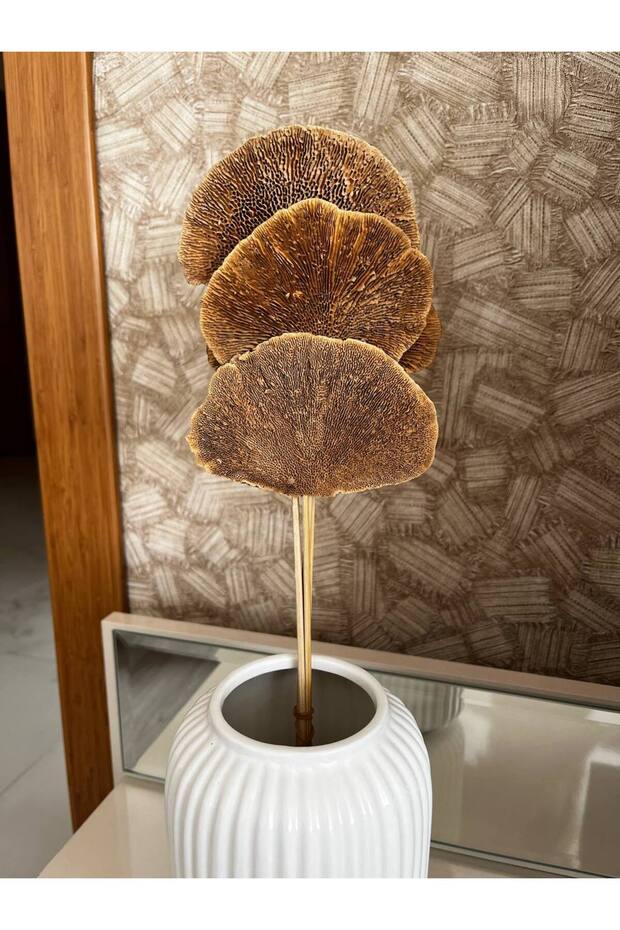 Kuru Çiçek Aranjman Kuru Mantar Sponge Mushroom 4 Dal - 5