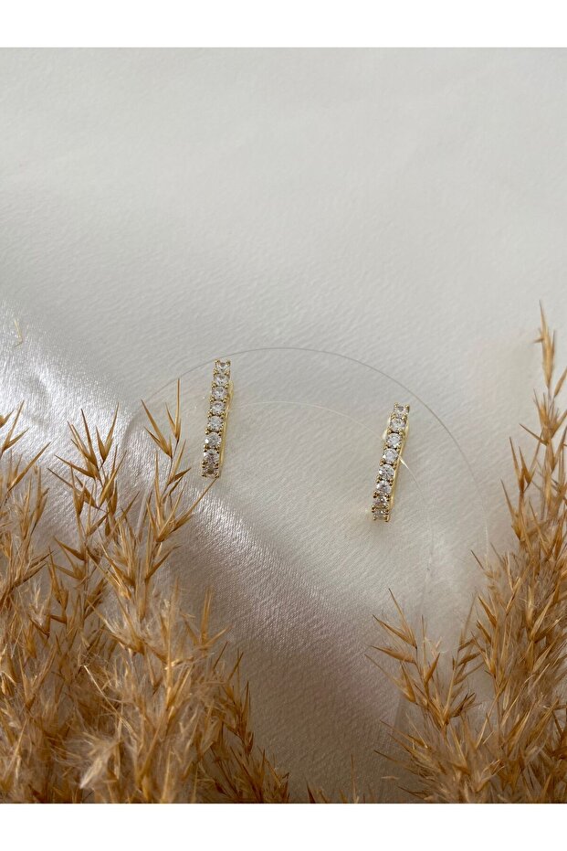 Zircon Stone Xuping Steel Earrings