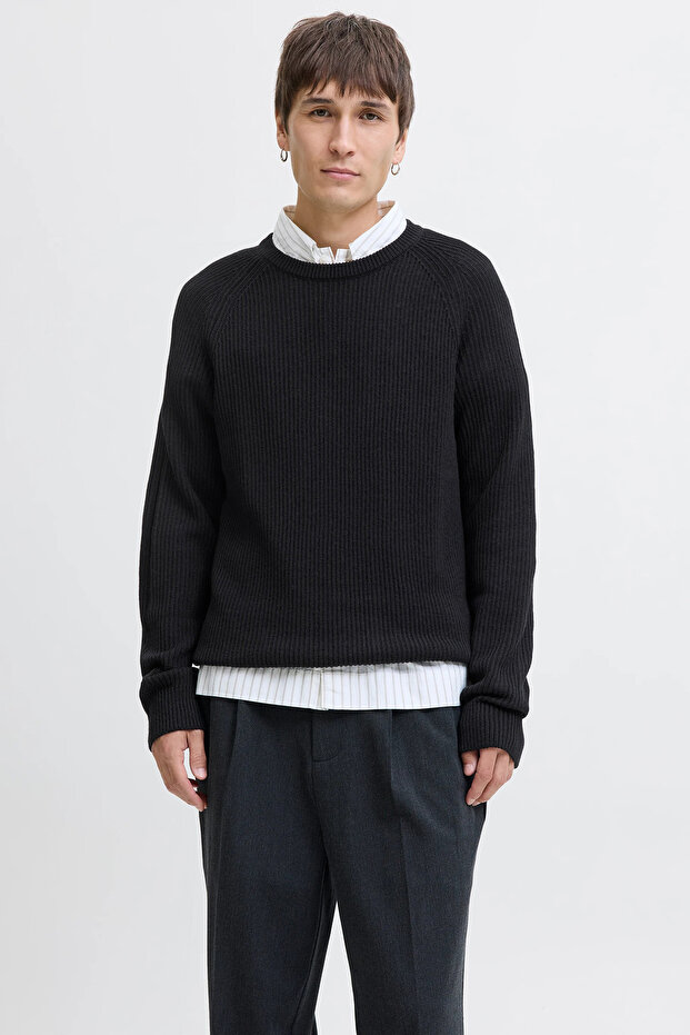 Jjpannel Cotton Blend Regular Fit Crew Neck Sweater Men's Sweater 12278916