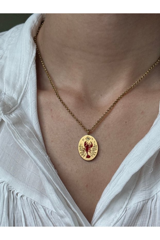 316L Steel Zircon Detailled Lobster Printed Medallion Necklace