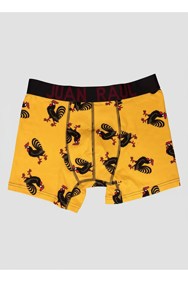 Desenli Boxer - Horoz - 2