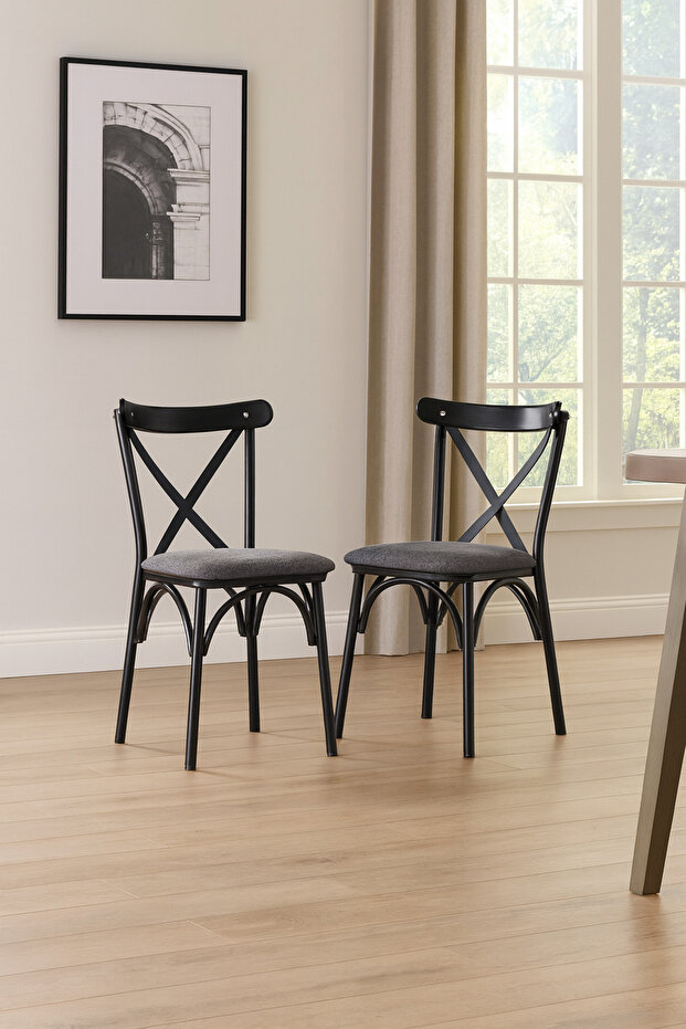 Ekol Sandalye Siyah İskelet Antrasit Oturak 2 Adet - 1