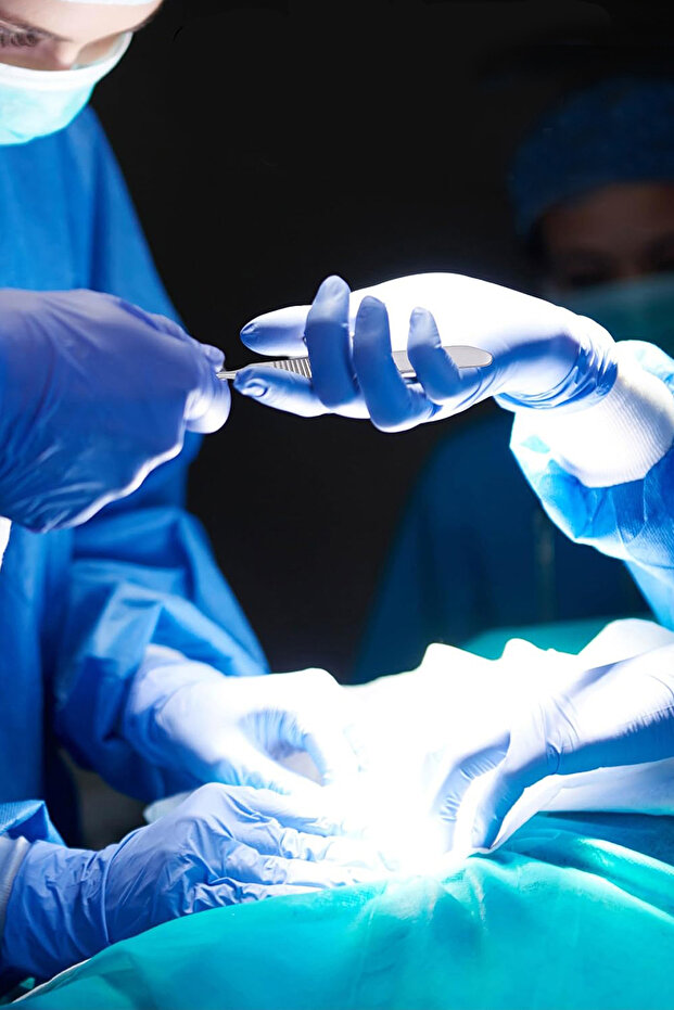 Bistüri Ucu No: 15 / Steril - Paslanmaz - 100 Adet/Paket - 8