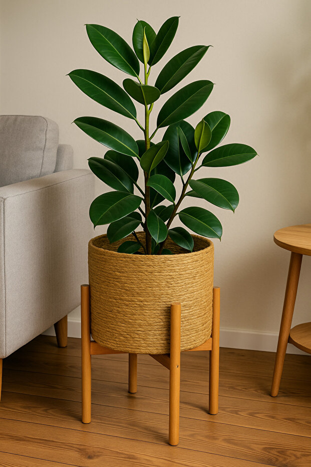 Hasır Saksı Bambu Standlı - 1