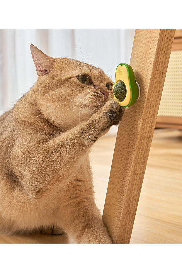 Adhesive Catnip 360 °   Spinning Avocado Cat Lick Ball Catnip - 7