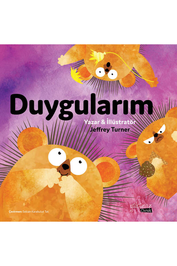 Duygularım