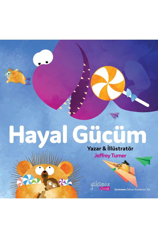 Hayal Gücüm