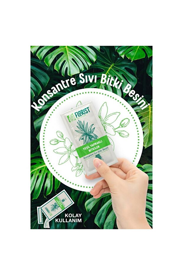 Yeşil Yapraklı Bitkiler Sıvı Konsantre Bitki Besini - 3