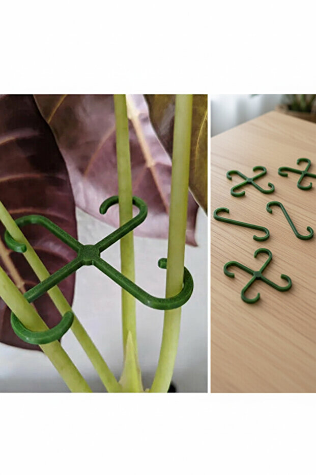 Bitki Gövde Destek Ve Sabitleme Klipsi Dikey Büyüme İçin Pratik Bitki Tutucu 4 Lü Set - 1