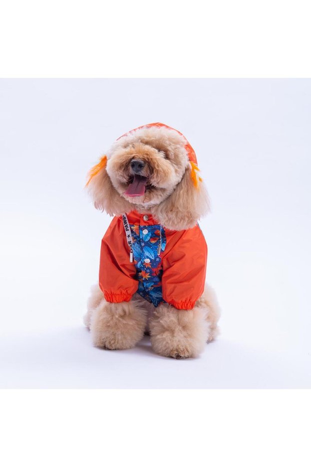 Amsterdam Fall Orange Leaf Pattern Dog Coat Dog Raincoat Dog Outfit Dog Dress