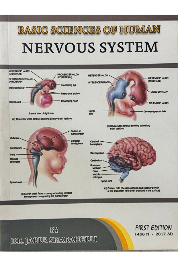 العلوم الأساسية للجهاز العصبي البشري - 1