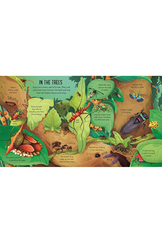 Look Inside Bug World - 2