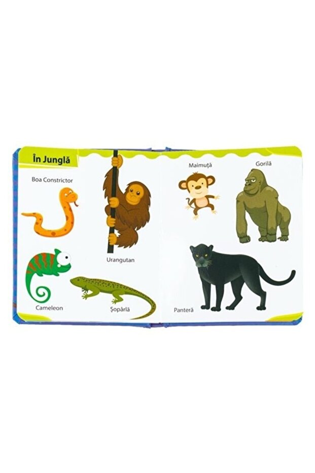 My First 100 Animals - 2