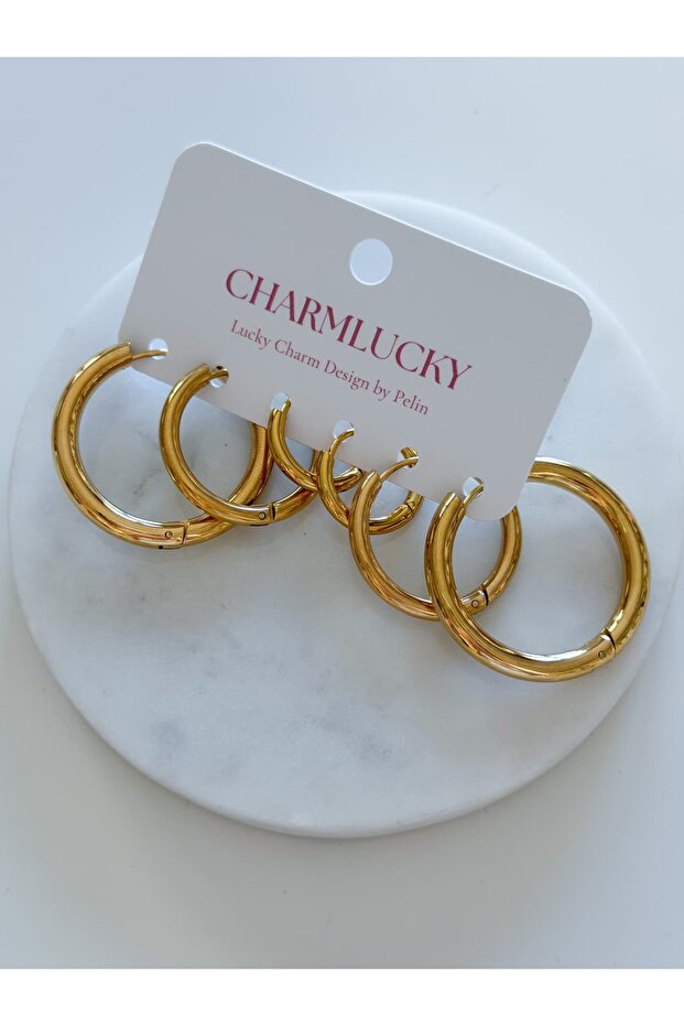 ÇELİK 6LI BASİC HALKA KÜPE SETİ - 1