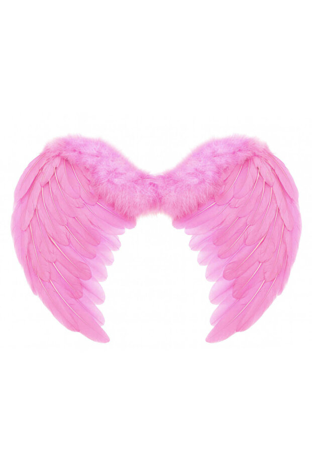 Angel Wing 60X40 cm Baby Pink