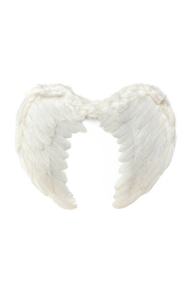 Angel Wing 50X40 cm White