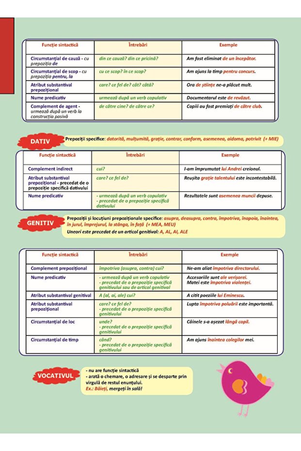 Plansa. Gramatica - Clasa 6 Partea 2 - 2