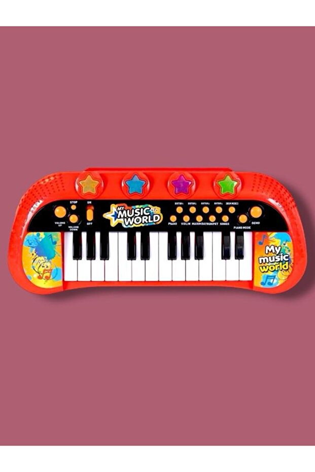 4381 Elektronik Org 24 Tuş - 3