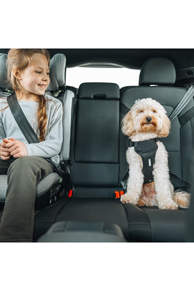 Ham auto pentru caini Cappy, M - 6