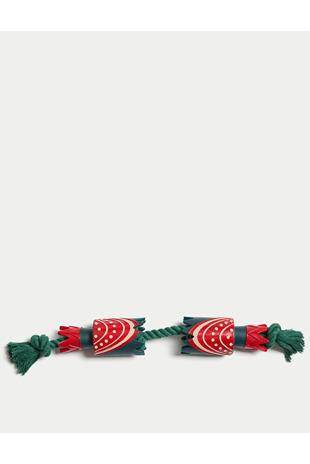 Evcil Hayvan Oyuncağı - 1