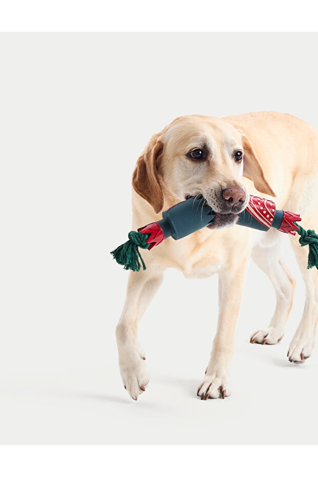 Evcil Hayvan Oyuncağı - 4