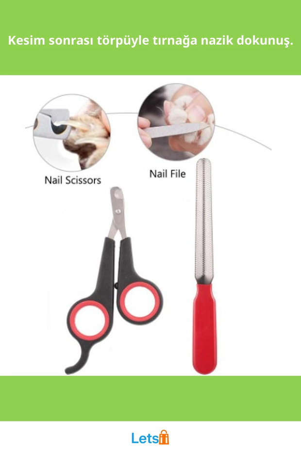 مجموعة مقصات أظافر حادة وأداة تلميع للحيوانات الأليفة - 2
