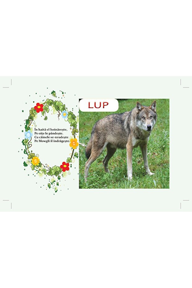 The first riddles with wild animals - 3