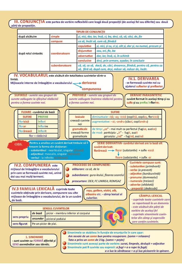 Plansa. Gramatica - Clasa 7 Partea 1 - 2