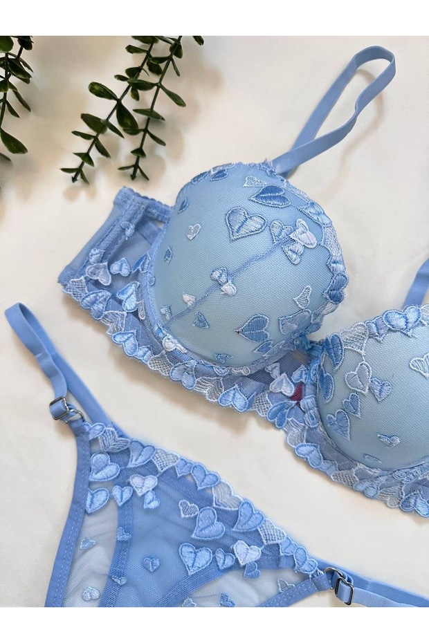 İç çamaşır takımı - 2