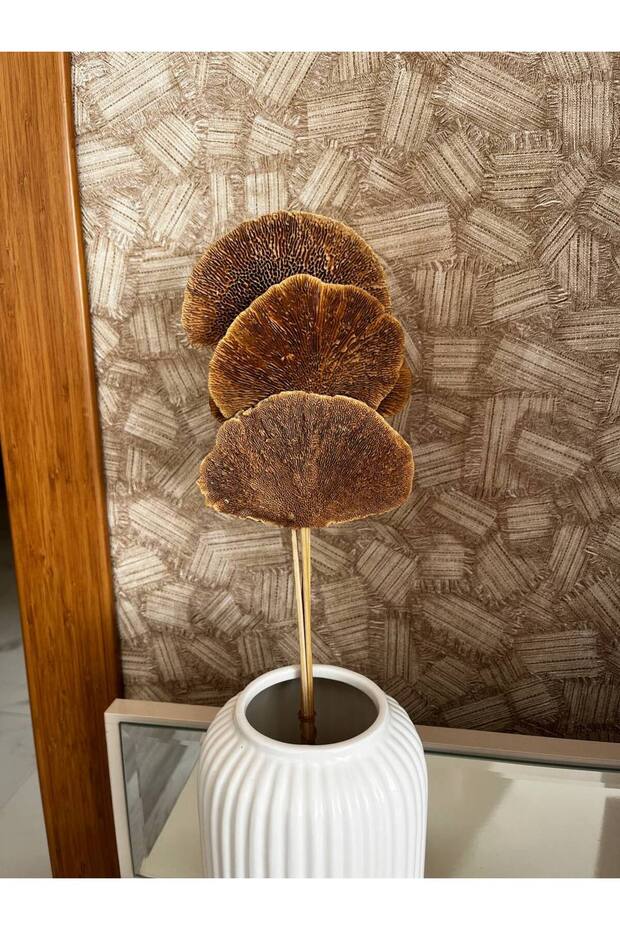 Kuru Çiçek Aranjman Kuru Mantar Sponge Mushroom 4 Dal - 1