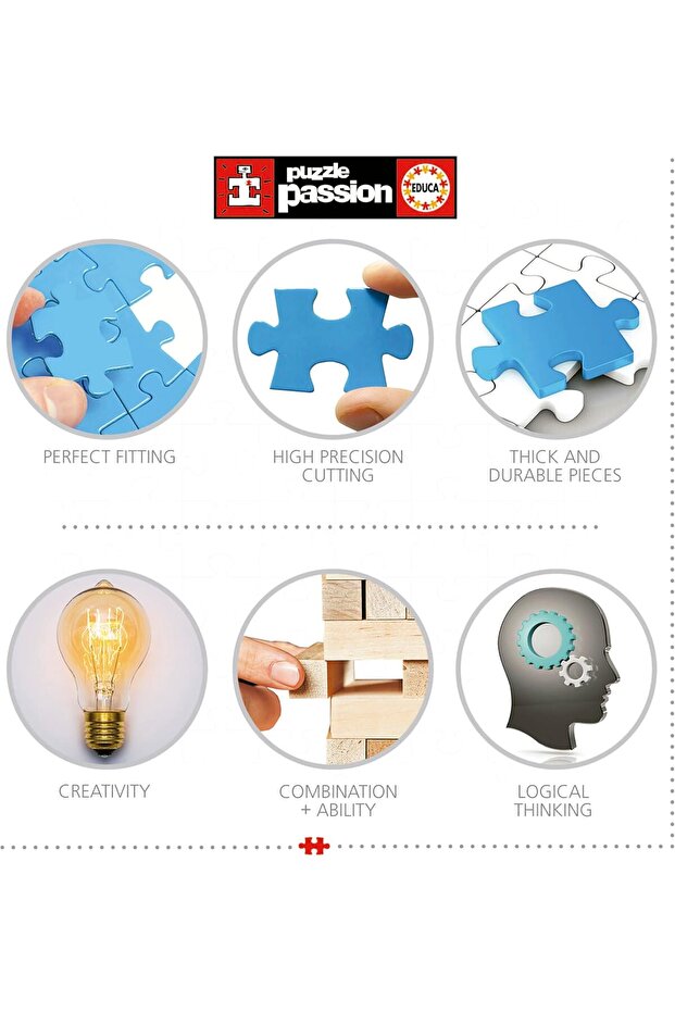 أحجية استوائية - 6