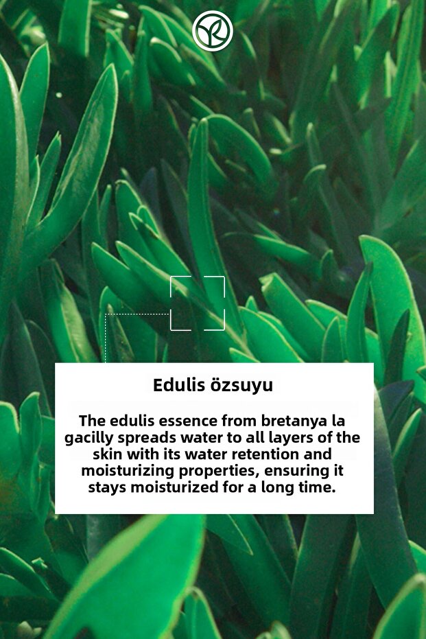 Revitalizing Liquid Serum - 100 Hours Deeply Moisturizing, 30 Ml - 57732 - 7