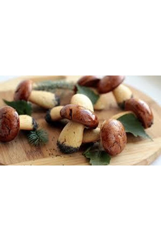 Cast Mushroom Patterned Cookie Mold with 10 Holes - 2