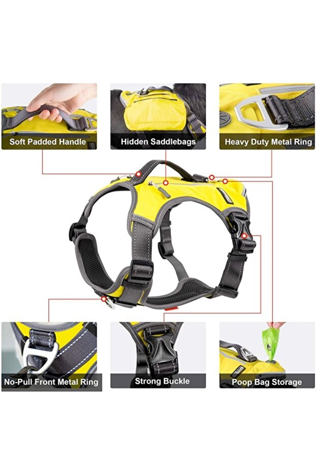 حزام الكلب – أصفر (متوسط) - 3