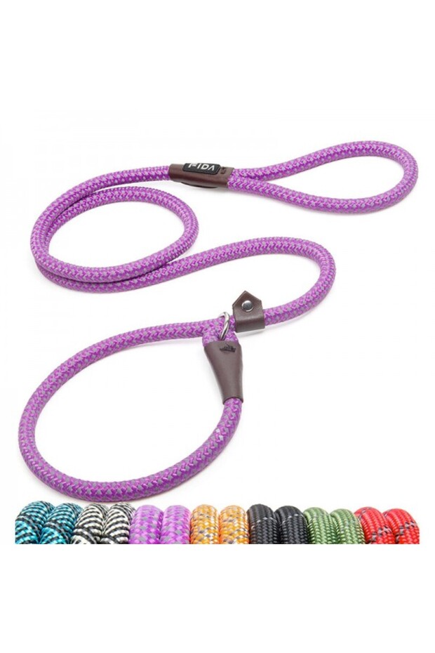 Durable Slip Lead Dog Leash (PURPLE)
