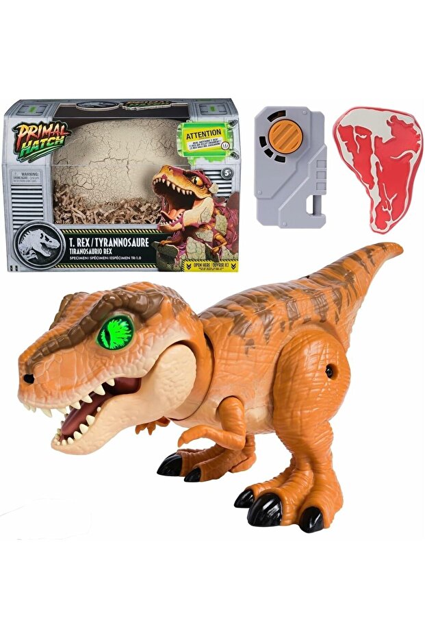 Primal Hatch Interactive Hatching Dino, Multicoloured, 6072462 - 2