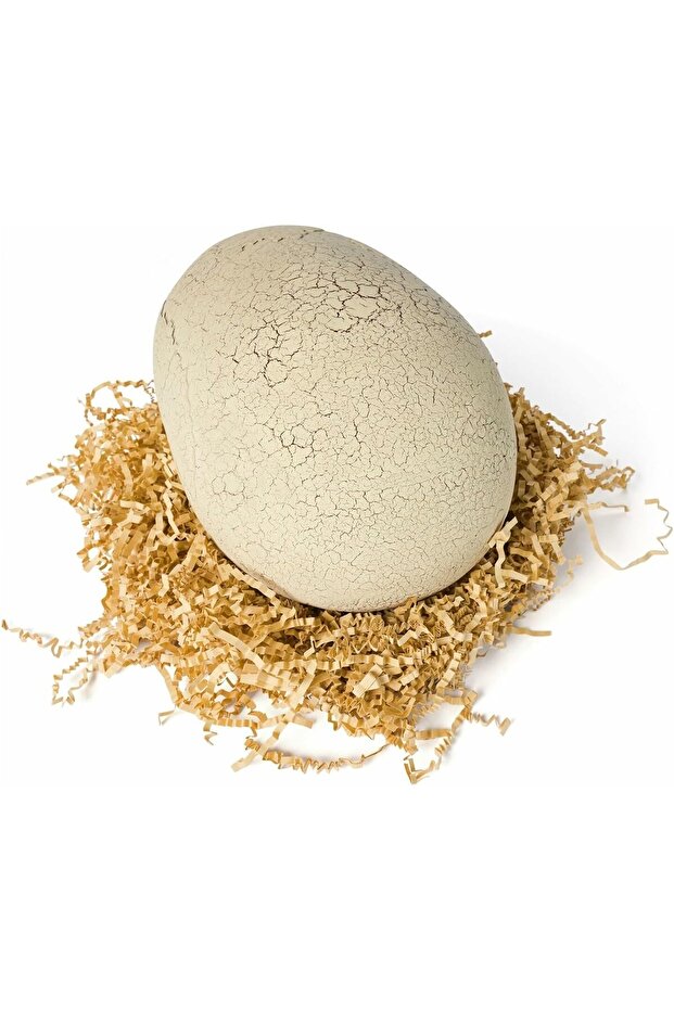 Primal Hatch Interactive Hatching Dino, Multicoloured, 6072462 - 3