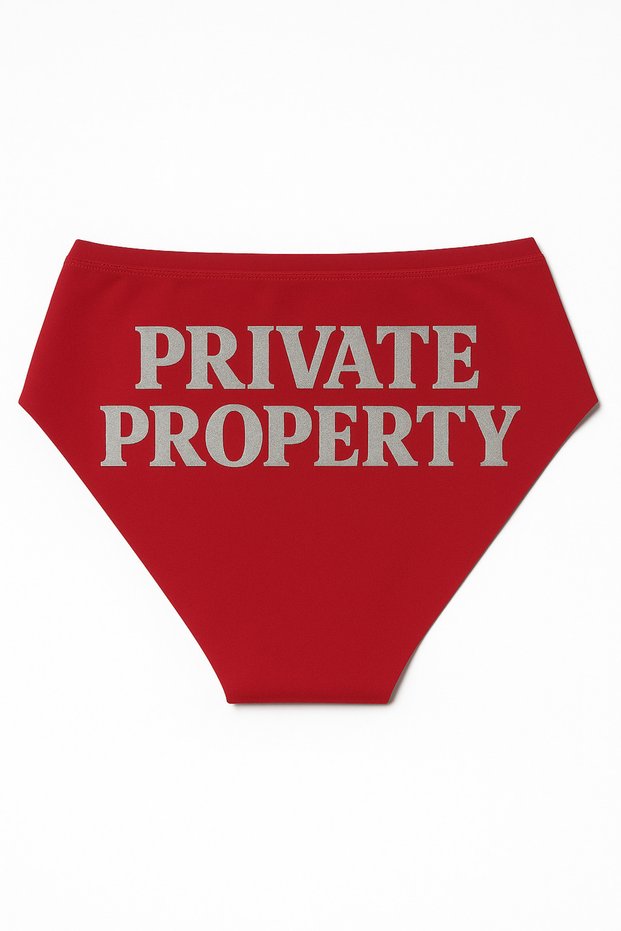 Red Christmas Themed Women's Slip Panties, Metallic Lettering Printed , Fun Underwear