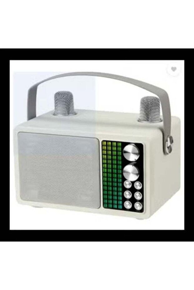 Smart Berry M202 Portable Bluetooth Speaker with 2 Wireless Microphones - 30W HD Stereo, LED Lights