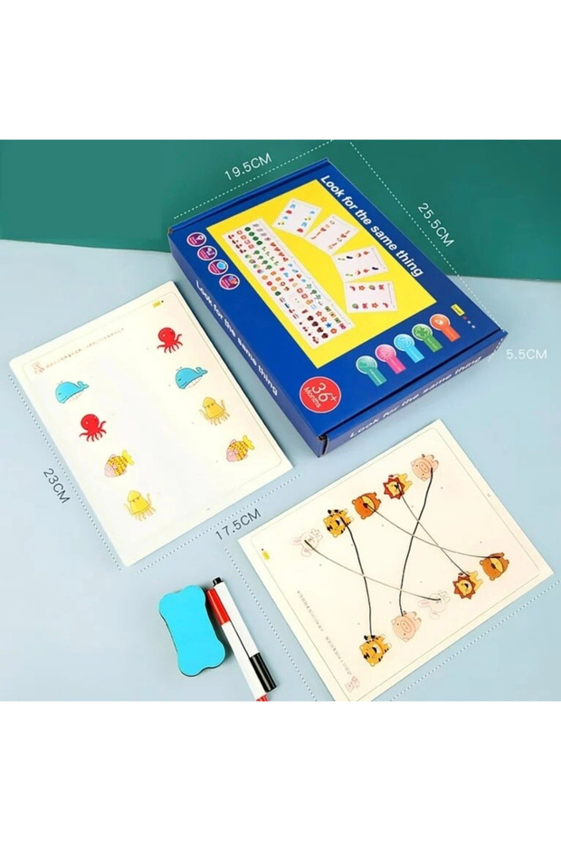 Memory and Intelligence Game - Find the Same Objects - 2