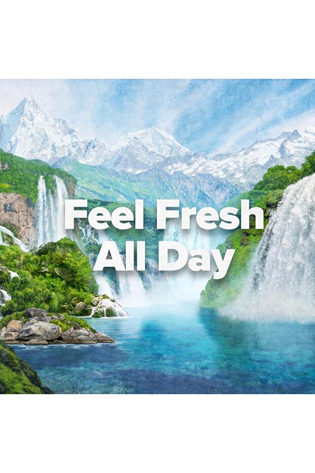 Original Deodorant Bar Soap, 12 Count - 4