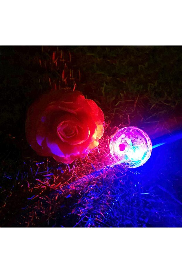 Dadanfly LED Light-Up Interactive Cat Balls (3-Pack) - 6