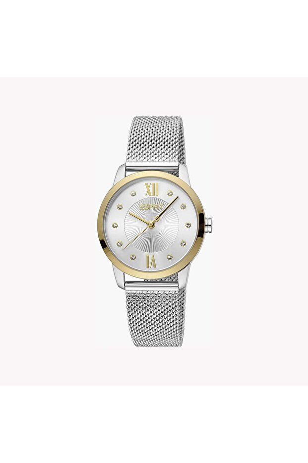 Women's Silver Stainless Steel Watch, Silver Dial | Es1l202m0035