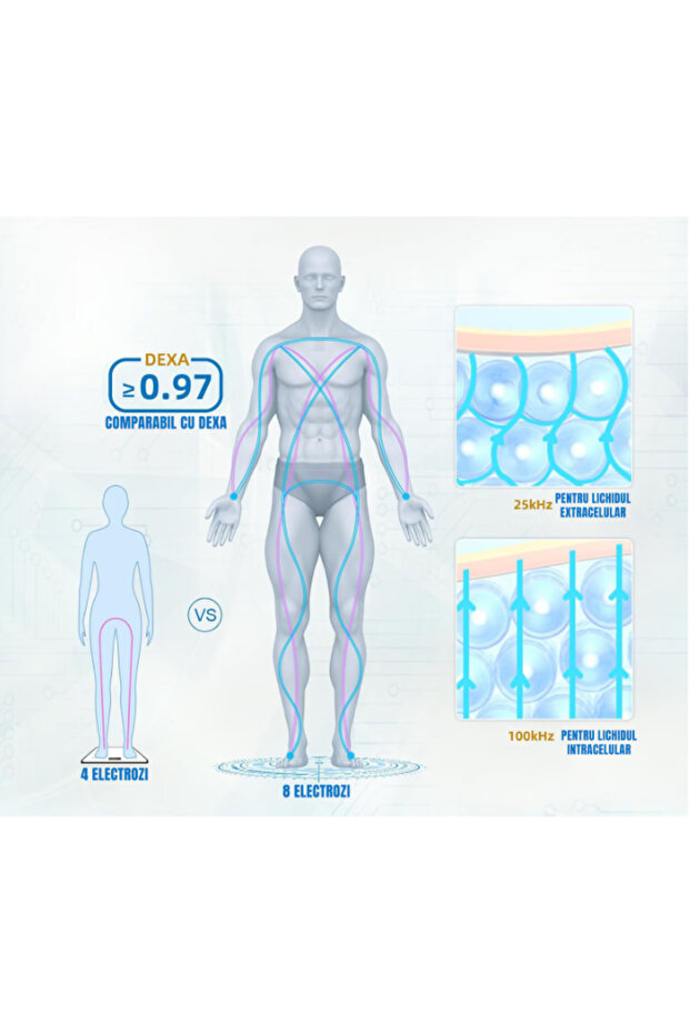 LePulse Professional smart scale, 8 sensors, 20 body metrics, iOS/Android integration, white - 5