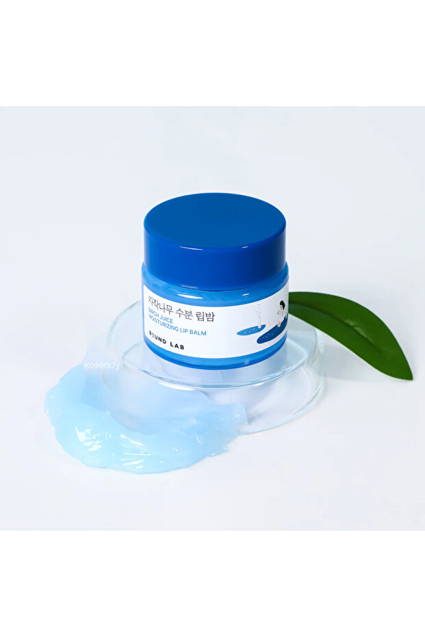 - Birch Juice Moisturizing Lip Balm - 2