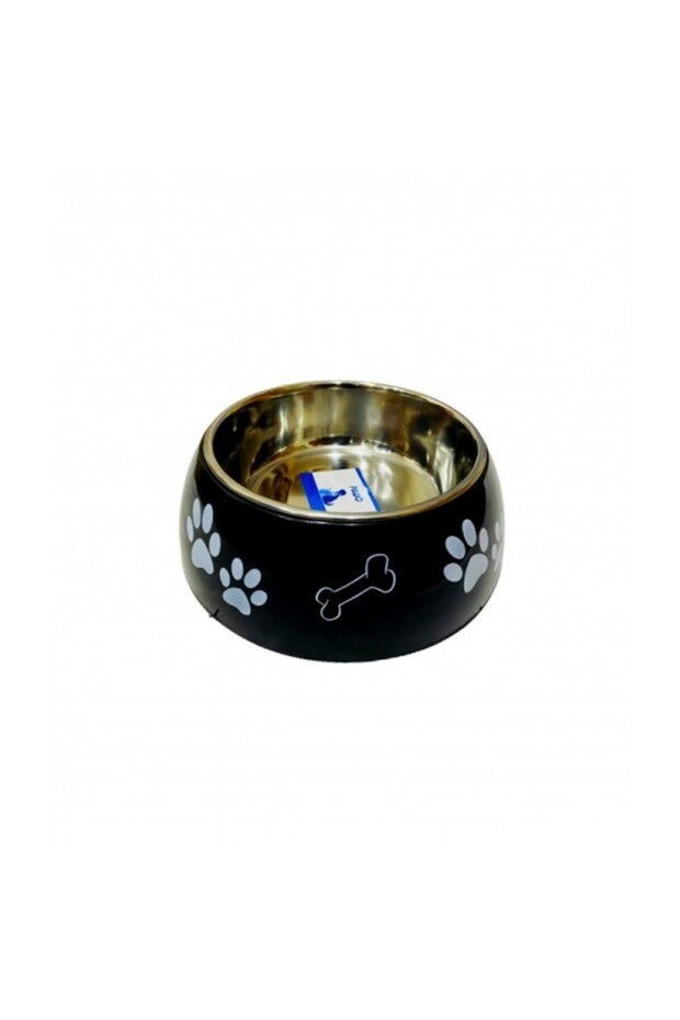 With Print (New Designs) ( L )